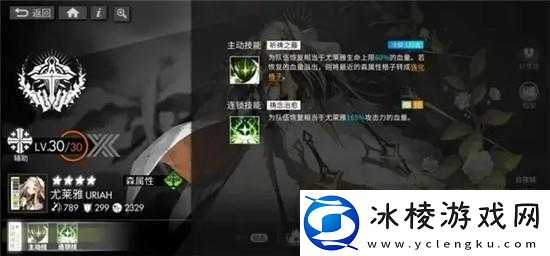 白夜极光连锁技解析与攻略