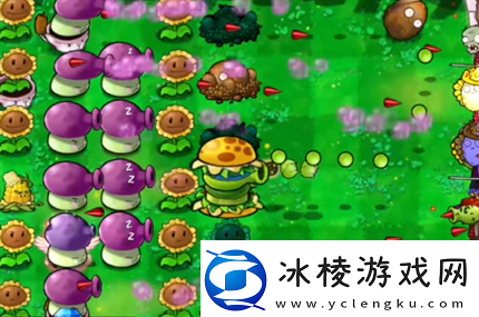 pvz杂交版英雄模式公主驾到通关详解