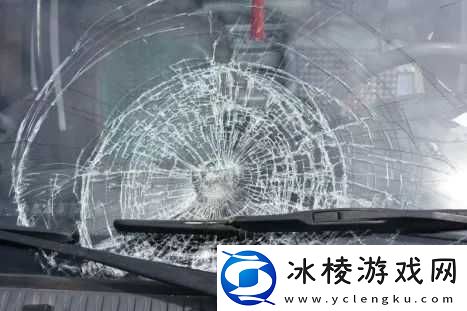 9 分 42 秒头撞玻璃会怎样：结果惊人