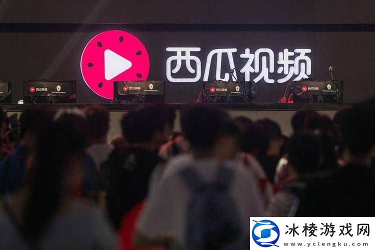 探寻最好看的免费观看西瓜：畅享视觉与味觉的双重体验