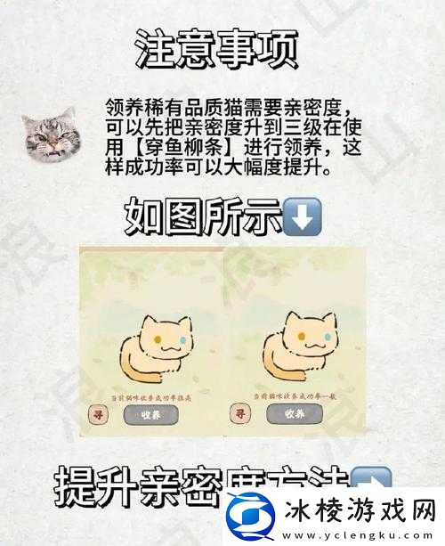 桃源深处有人家养喵新趣玩法之猫咪收养全攻略
