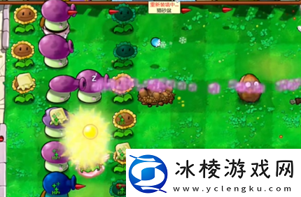 pvz杂交版英雄模式公主驾到通关详解