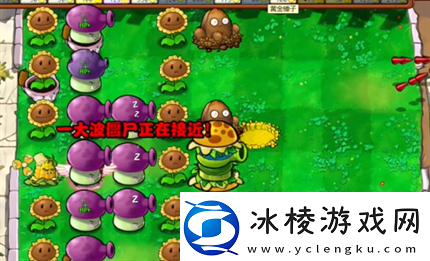 pvz杂交版英雄模式公主驾到通关详解