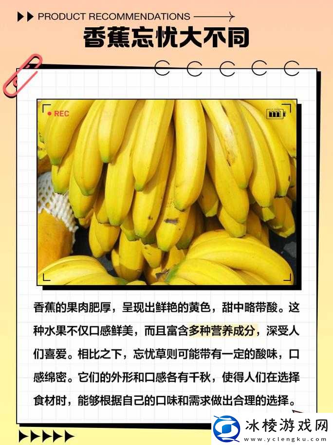 香蕉与忘忧草区别：果实与解忧功效之异