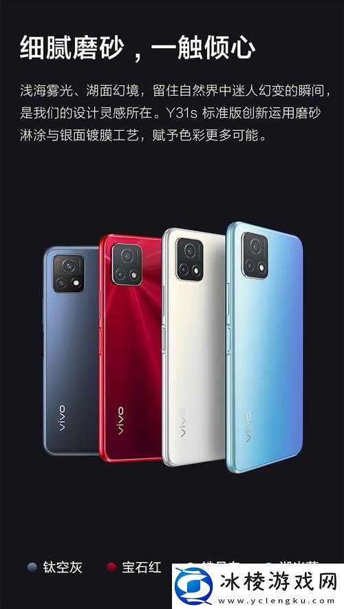 成色好的 y31s 标准版最新：带你领略卓越品质