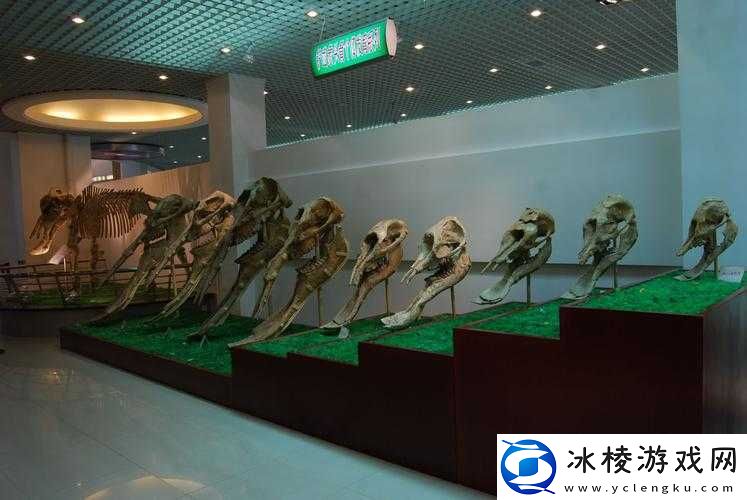 探索大地资源二在线观看免费高清的魅力-揭秘地球宝藏