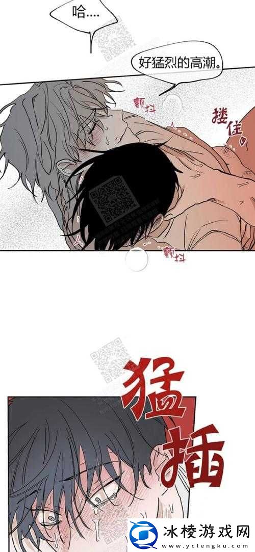 水边之夜未增减板：掀起热议的神秘之作