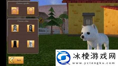 美国 ZOOm 动物仙踪林：体验自然的奇妙之旅