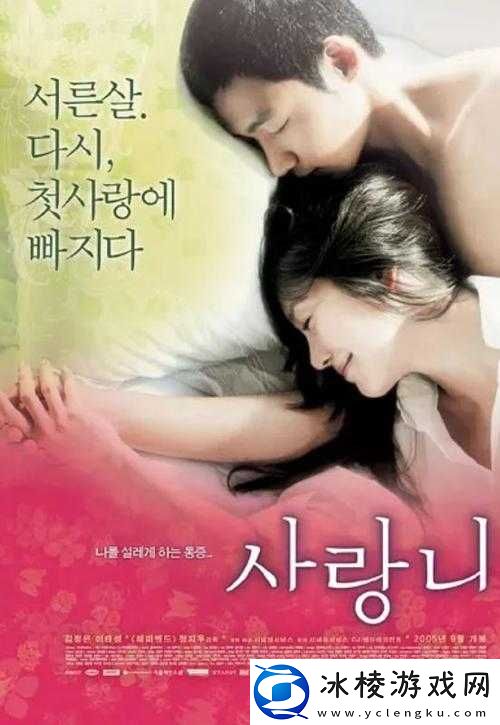 玉女心经 Dplayer：强大的播放器