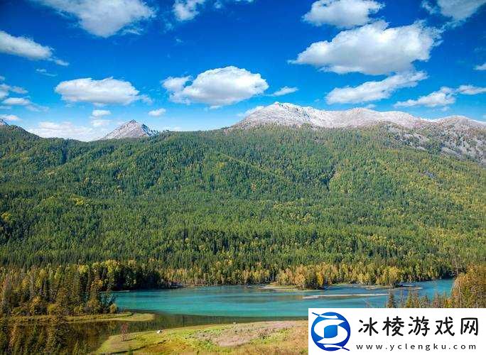 中国新疆XXXXXL19-2024：关于它的介绍