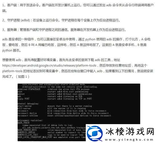 大 BBBwBBBwBBBw40：神奇的代码之谜