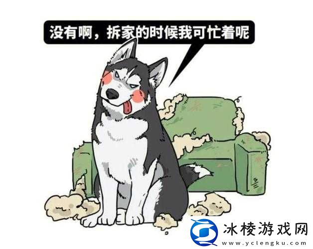 小奶狗精力太旺盛我一天六罐红牛：累瘫了