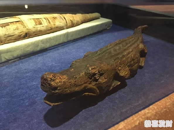 保卫萝卜4法老归来第77关详细通关策略与炮台布局指南