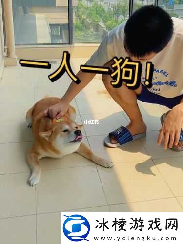 一人一狗卡住-6-小时是否要紧