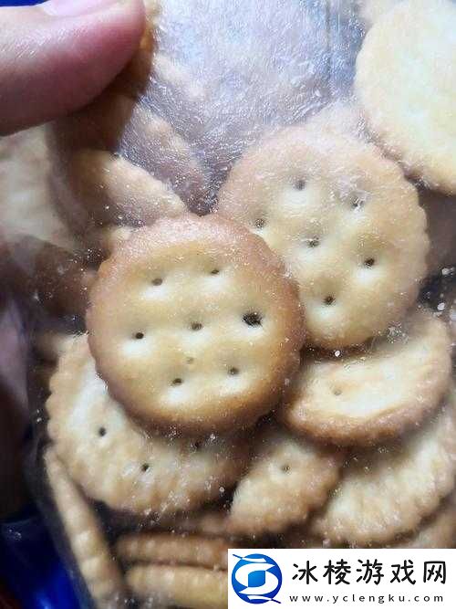 双龙进洞夹心饼干：令人垂涎的美味探险