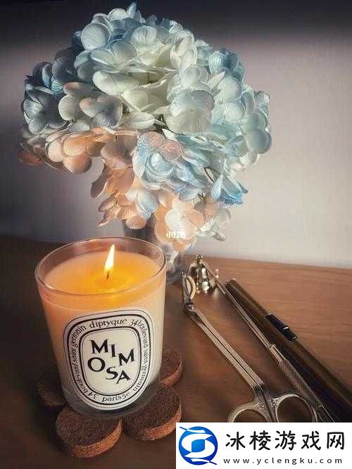 探秘 Diptyque 含羞草香薰：神秘芬芳之旅