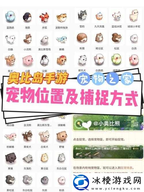奥比岛手游宠物温馨家园探秘：揭秘宠物栖息地的神秘位置揭秘奥比岛手游宠物的家园所在地
