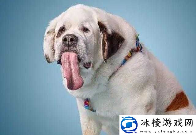 一边伸舌头一边快速喘气：这是啥表情