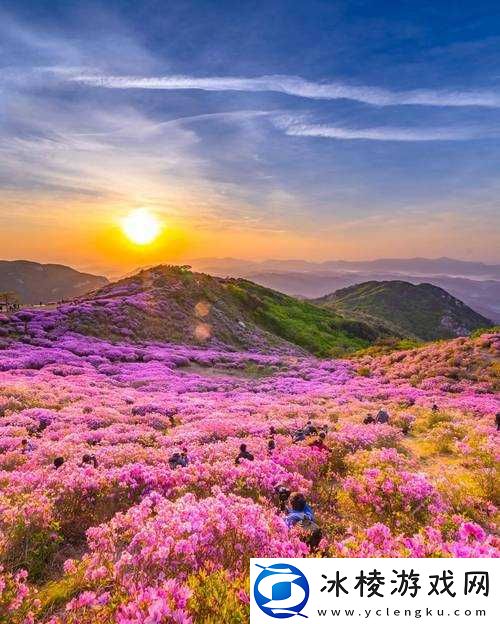 1204 手机基地你最懂:专业解读与服务