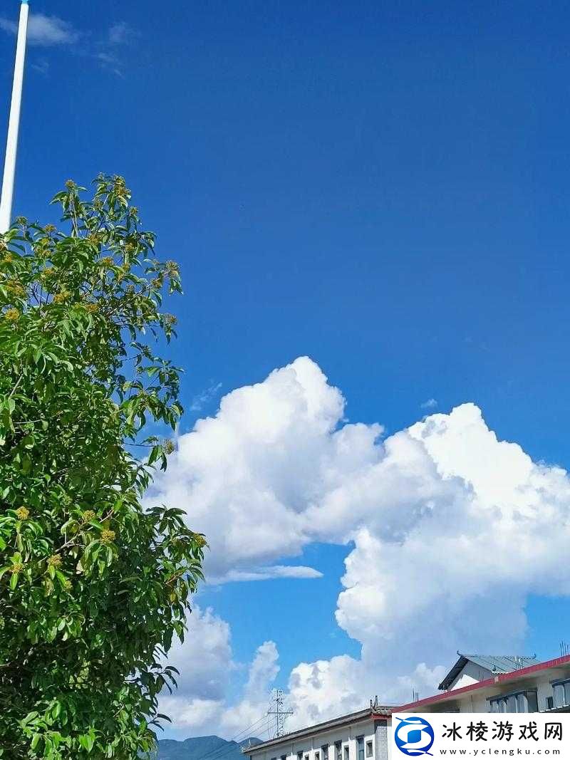 分享抖音爱就像蓝天白云原版视频-感受美好时光