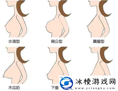 水滴型与馒头型区别解析：特点与不同