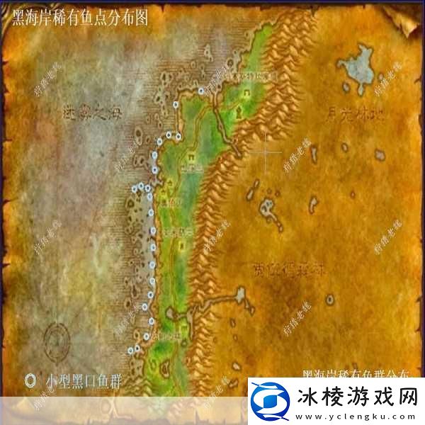 魔兽世界孢子鱼群位置全攻略带你探寻神秘水域