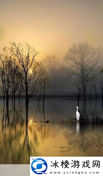 GGY钙2024入口廖男男：1.-GGY钙2024：探索廖男男的未来之路