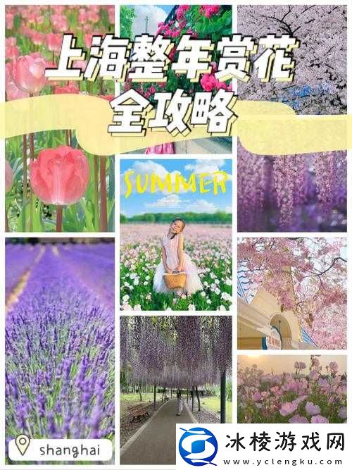 探寻世纪之花的神秘踪迹：如何准确找到它