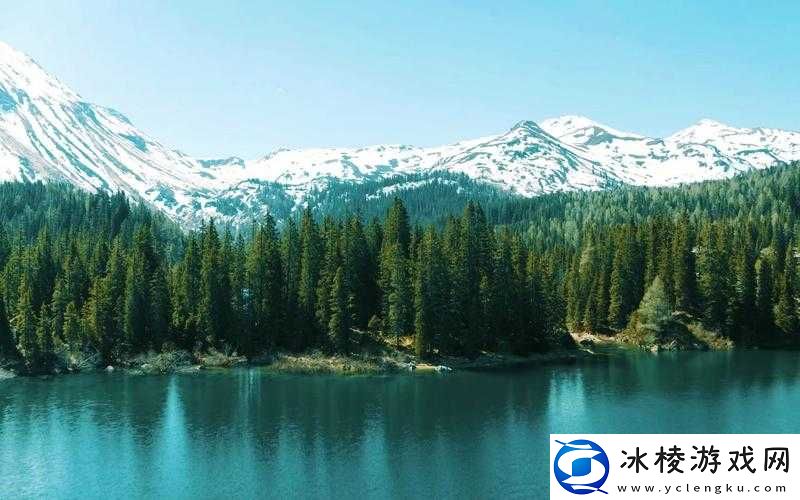 品色堂永远的免费论坛：打造极致视觉盛宴