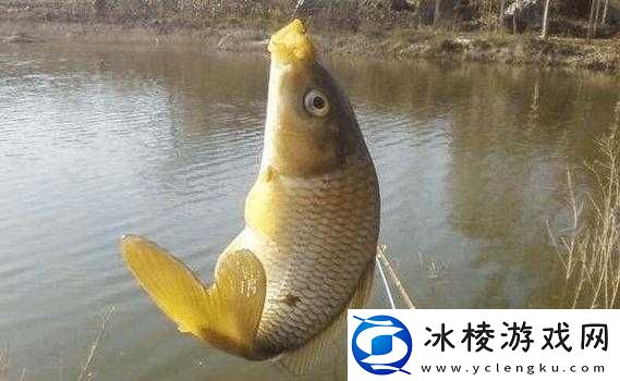 室友各个猛如虎-by-梦见好多鱼：猛男室友的奇妙日常