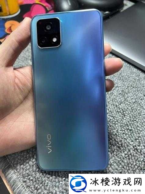 成色好的-Y31s-标准版入口取消隐藏：重大变化