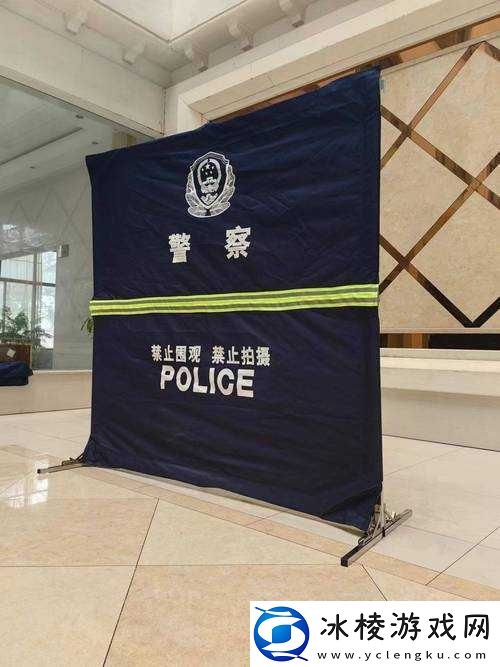 严阵以待：深度解析警告策略与投降方法分享，确保警戒与应对的双重保障