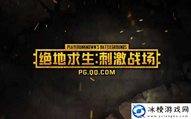 国外-b-站刺激战场直播-app：海量热辣表演等你来