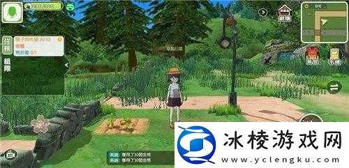 关于小森生活金鸡位置的全面介绍与详解