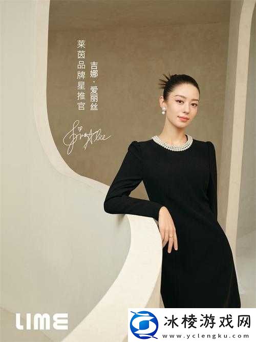 动物餐厅协奏曲：如何优雅邀请伴奏企鹅加盟乐宴盛典策划指南