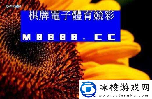 66m66-模式视频历史记录相关内容