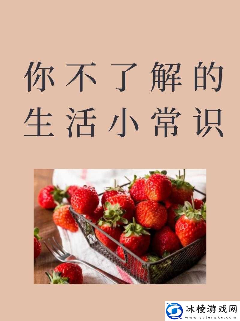一边做饭一边狂做最有效的一句：让生活高效的秘诀