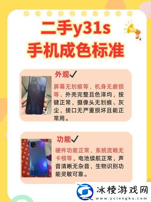 好色 y31 的独特魅力探讨