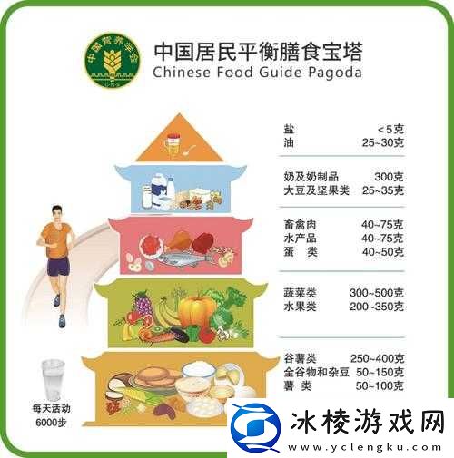 OVO 食肉家庭摄取报告：饮食结构与营养分析