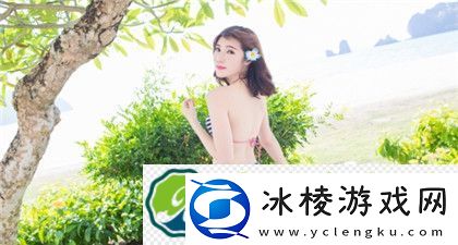 百度分享按钮：轻松分享你喜欢的内容！