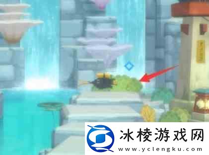 潜水员戴夫海马如何捉