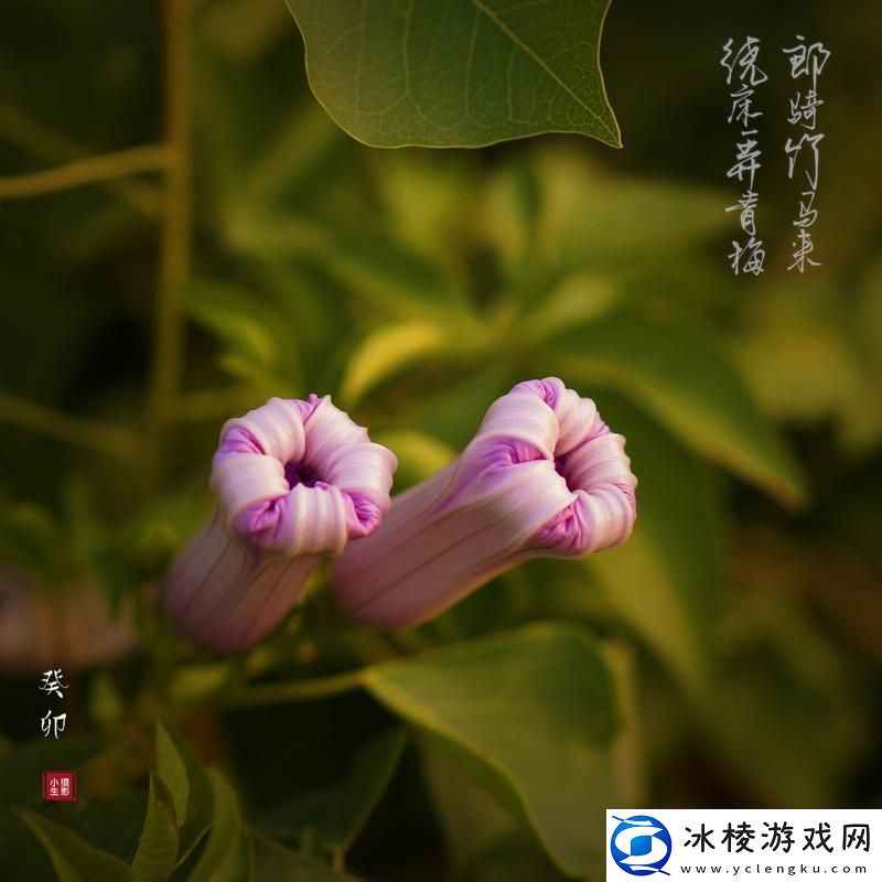 绕床弄青梅-引人入胜-科技圈里的笑话！