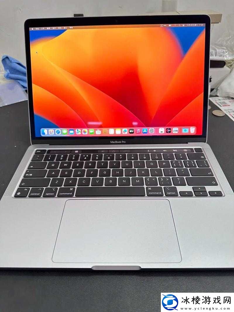 16 岁 MacBookPro 日本：背后的故事