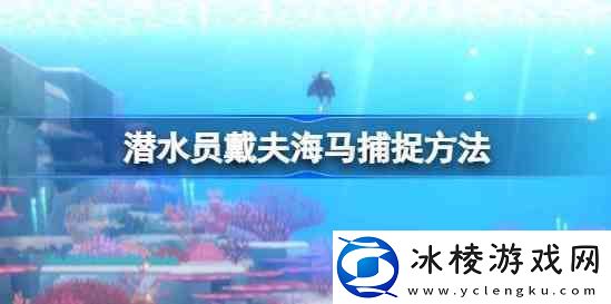 潜水员戴夫海马如何捉