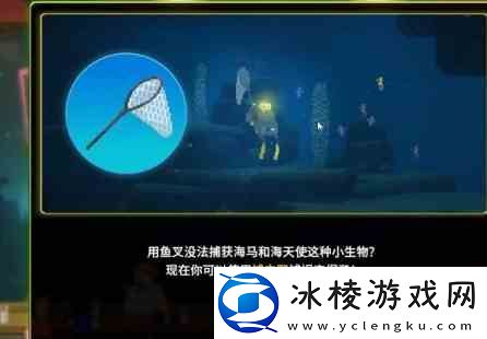 潜水员戴夫海马如何捉