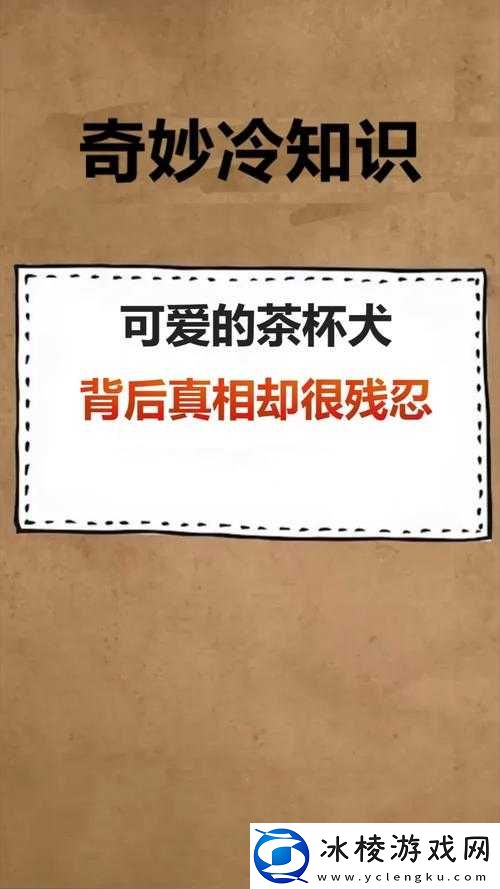 狗狗的东西又硬又烫又臭：背后的真相与应对策略