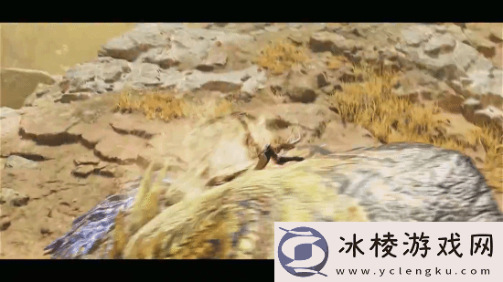 大神分享怪物猎人