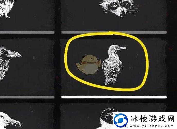 荒野大镖客2第章特有动物：瓜马的生态宝藏