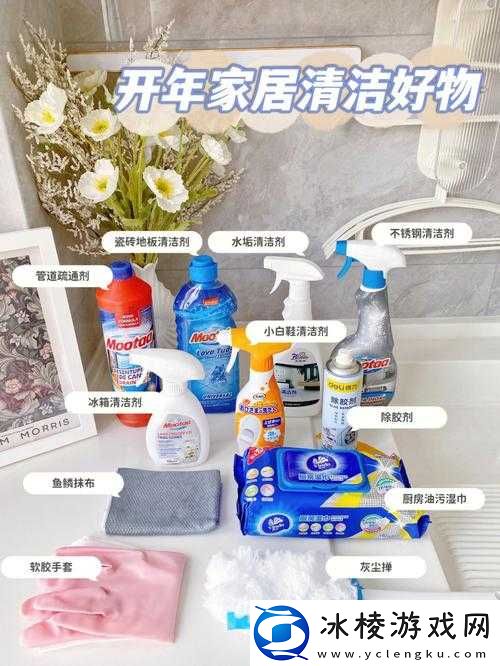 从厨房一路干到客厅好吗：探究家居清洁的最佳路径