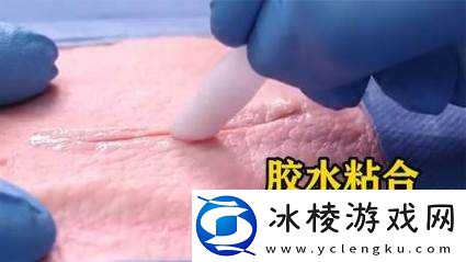 美国人胶配方的视频：探秘神奇胶水背后的秘密与应用